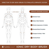 HYDREA IONIC COPPER BODY BRUSH