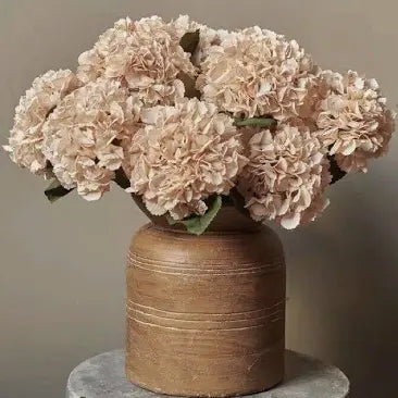 ABIGAIL AHERN HYDRANGEA VANILLA